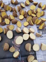 팜모닝 자유주제·자유게시판 게시글 이미지