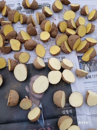 화우농원님의 자유주제 · 자유게시판 작성글 사진