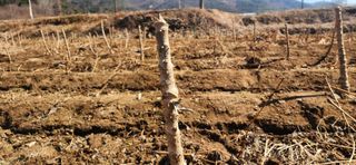 임원식님의 자유주제 · 자유게시판 작성글 사진