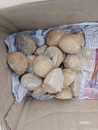 화우농원님의 자유주제 · 자유게시판 작성글 사진