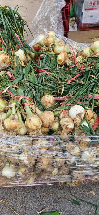 구춘봉님의 자유주제 · 자유게시판 작성글 사진