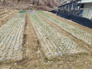 이상욱님의 자유주제 · 자유게시판 작성글 사진