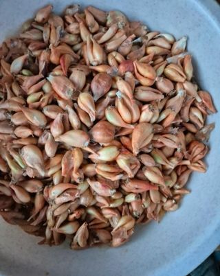 구자욱님의 기타작물·자유게시판 작성글 사진