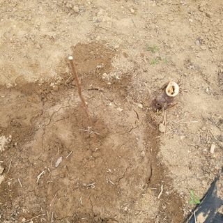 이창화님의 자유주제 · 자유게시판 작성글 사진