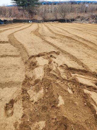회사원&초보농사꾼님의 자유주제 · 자유게시판 작성글 사진