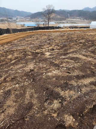 회사원&초보농사꾼님의 자유주제 · 자유게시판 작성글 사진