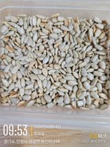 철의여인텃밭님의 자유주제·자유게시판 작성글 사진