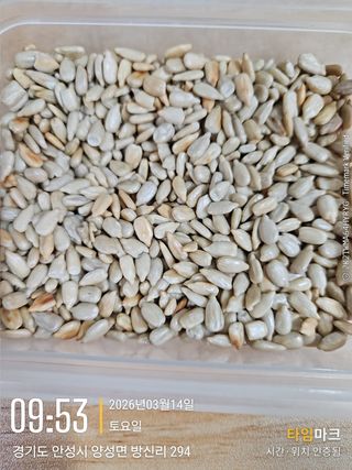 철의여인텃밭님의 자유주제 · 자유게시판 작성글 사진