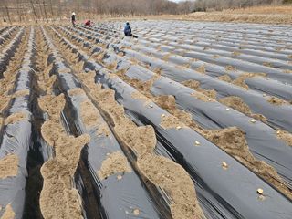 백용기님의 자유주제 · 자유게시판 작성글 사진