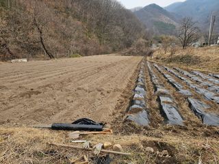 백용기님의 자유주제 · 자유게시판 작성글 사진