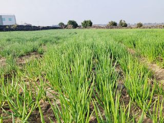 한경훈님의 자유주제 · 자유게시판 작성글 사진