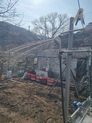 김용대님의 자유주제 · 자유게시판 작성글 사진