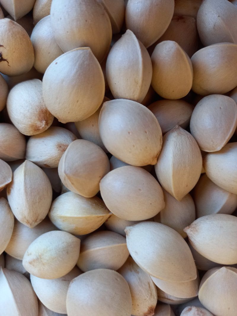 장터 상품 [피은행] 썸네일