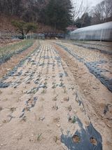 전국하님의 자유주제·자유게시판 작성글 사진