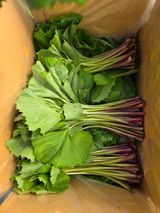 팜모닝 자유주제·자유게시판 게시글 이미지