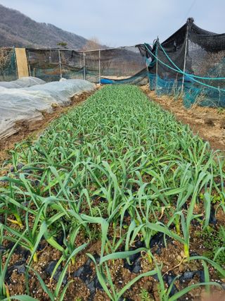 김경일 님의 자유주제·자유게시판 작성글 사진