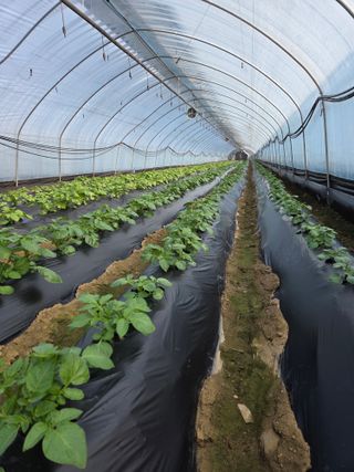 머위농장님의 자유주제 · 자유게시판 작성글 사진