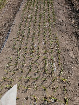 백용기님의 자유주제 · 자유게시판 작성글 사진