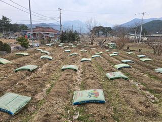 야양바다님의 자유주제 · 자유게시판 작성글 사진