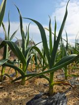 유혜영님의 자유주제·자유게시판 작성글 사진