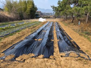 양영일님의 자유주제 · 자유게시판 작성글 사진