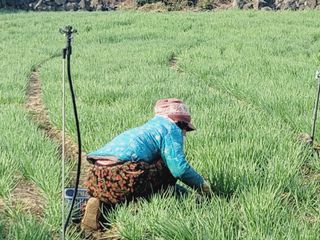 한경훈님의 자유주제 · 자유게시판 작성글 사진