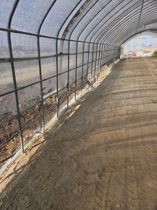 제주농부님의 자유주제 · 자유게시판 작성글 사진