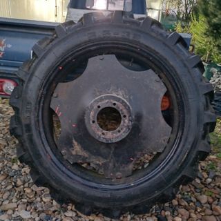 안치영님의 자유주제 · 자유게시판 작성글 사진