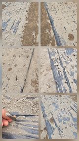 팜모닝 자유주제·자유게시판 게시글 이미지