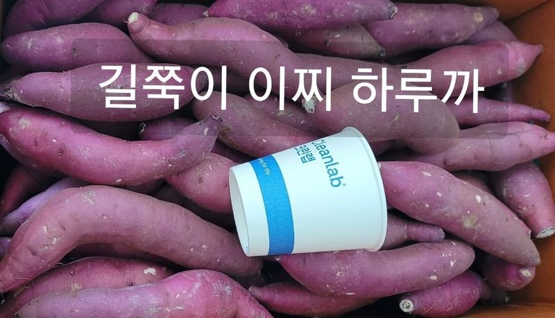 장터 상품 [길쭉이 꿀 고구마 10kg] 썸네일