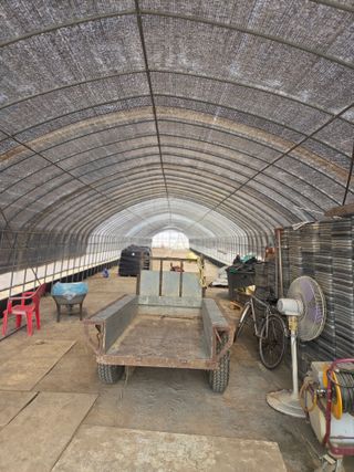 제주농부님의 자유주제 · 자유게시판 작성글 사진