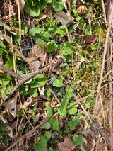 팜모닝 자유주제·자유게시판 게시글 이미지