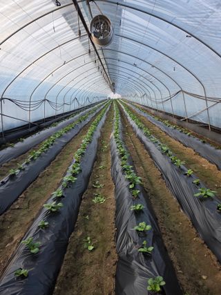 머위농장님의 자유주제 · 자유게시판 작성글 사진