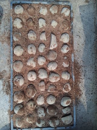 김복철님의 자유주제 · 자유게시판 작성글 사진