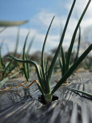 유혜영님의 자유주제 · 자유게시판 작성글 사진