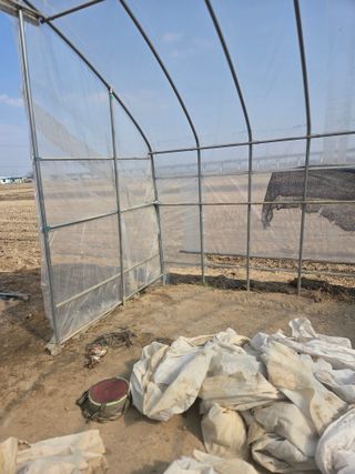 제주농부님의 자유주제 · 자유게시판 작성글 사진