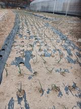 전국하님의 자유주제·자유게시판 작성글 사진