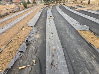 야양바다님의 자유주제 · 자유게시판 작성글 사진