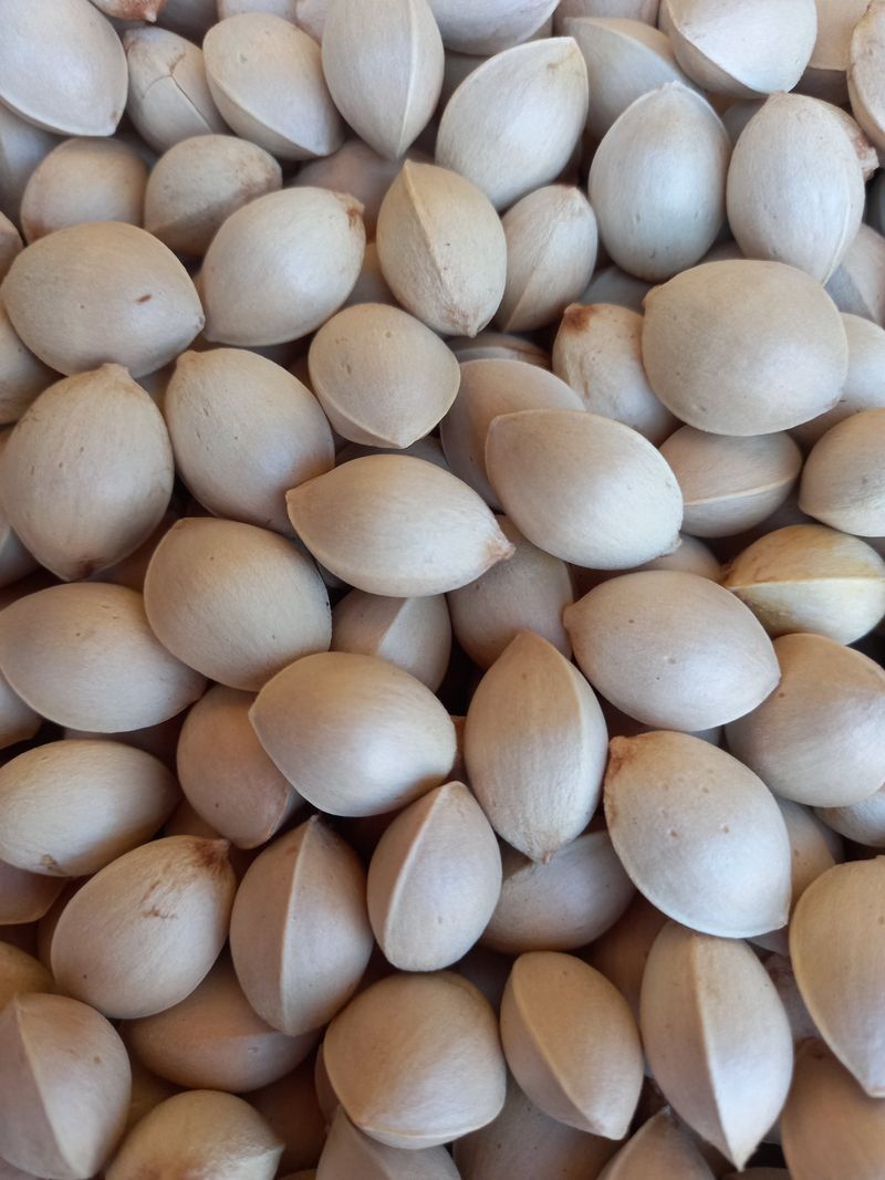 매실15169님의 장터 판매 상품 [피은행] 첨부 사진