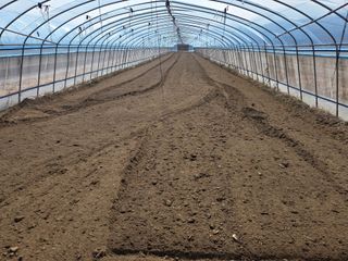 노고단님의 자유주제 · 자유게시판 작성글 사진