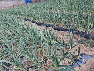 윤형곤님의 자유주제 · 자유게시판 작성글 사진