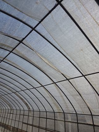 제주농부님의 자유주제 · 자유게시판 작성글 사진