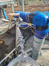 팜모닝 자유주제·자유게시판 게시글 이미지