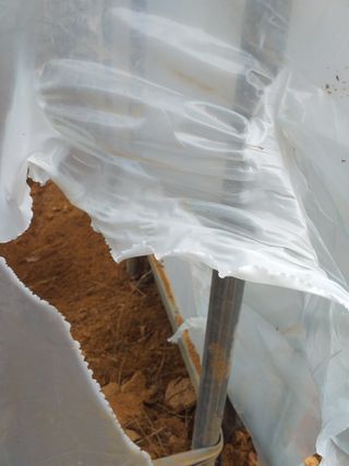 박웅님의 자유주제 · 자유게시판 작성글 사진