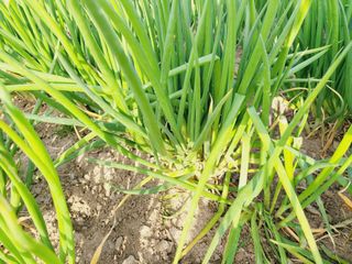 한경훈님의 자유주제 · 자유게시판 작성글 사진