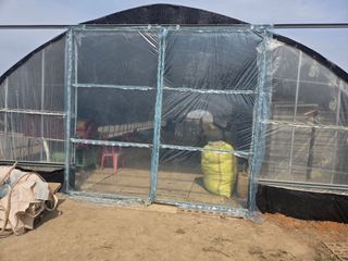 제주농부님의 자유주제 · 자유게시판 작성글 사진