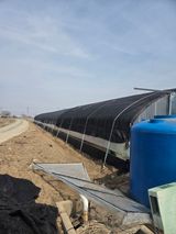 팜모닝 자유주제·자유게시판 게시글 이미지