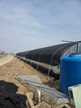 제주농부님의 자유주제 · 자유게시판 작성글 사진