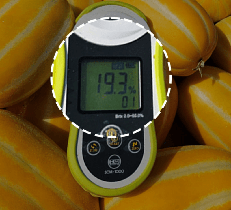 스피드번님의 장터 판매 상품 [특가 성주 꿀참외 (박스포함)] 첨부 사진