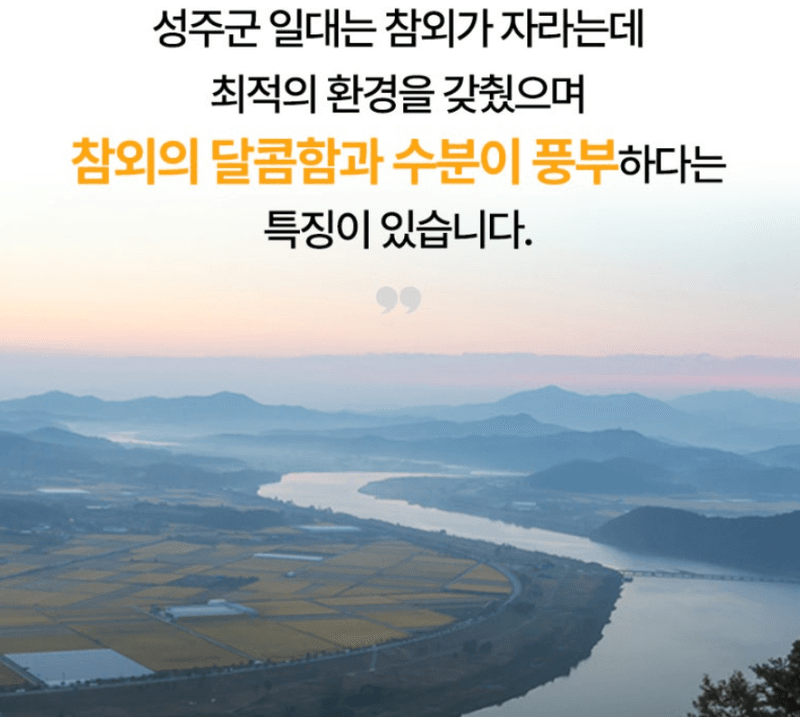 스피드번님의 장터 판매 상품 [특가 성주 꿀참외 (박스포함)] 첨부 사진